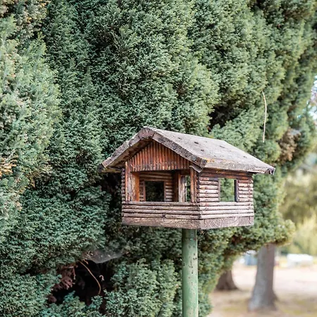 Naturerlebnishaus Gaistal Holiday home